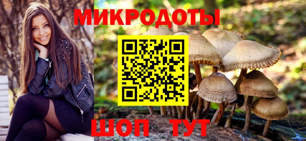 Псилоцибиновые грибы ЛСД  Вход с VPN  Горячий Ключ  Псилоцибиновые грибы мицелий 