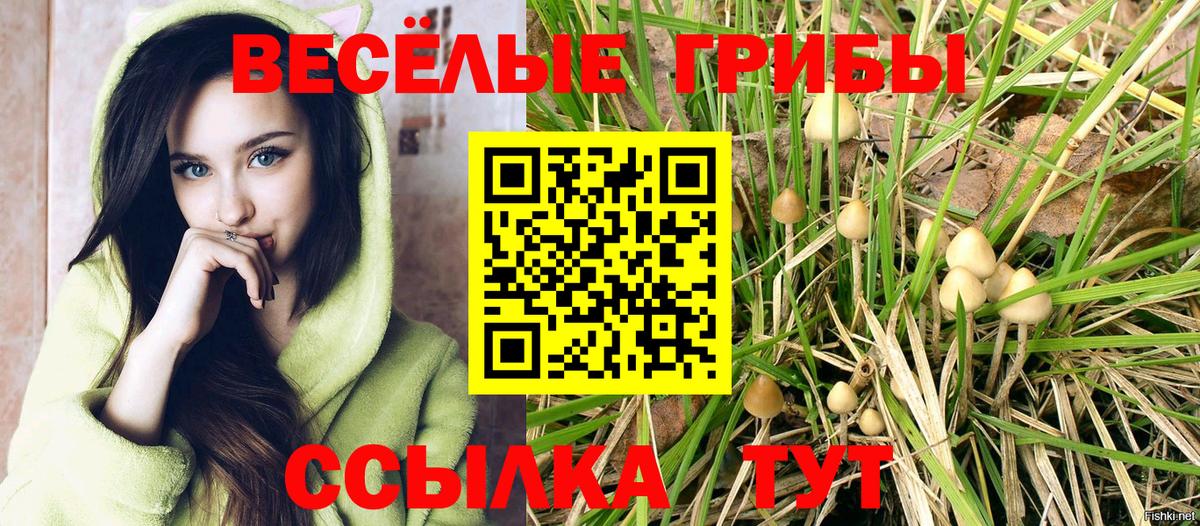 Псилоцибиновые грибы мухоморы Горячий Ключ